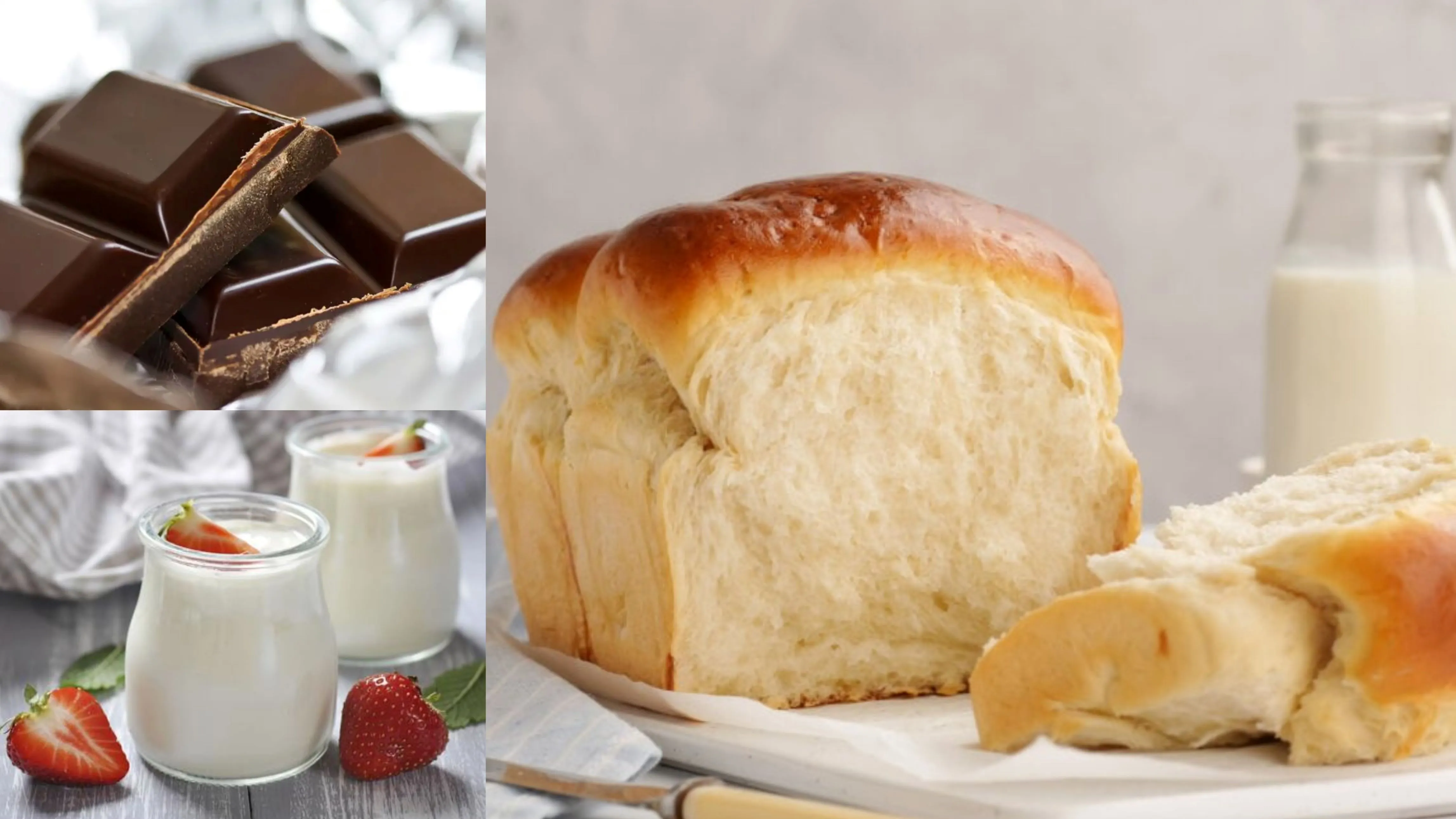 The Applications of Stachyose The Applications of Stachyose