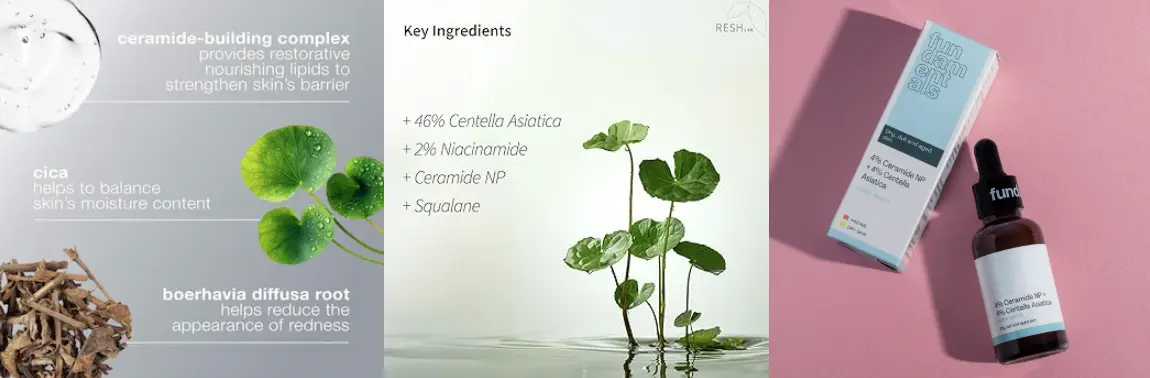 Centella Asiatica + Ceramides/Squalane Centella Asiatica + Ceramides/Squalane