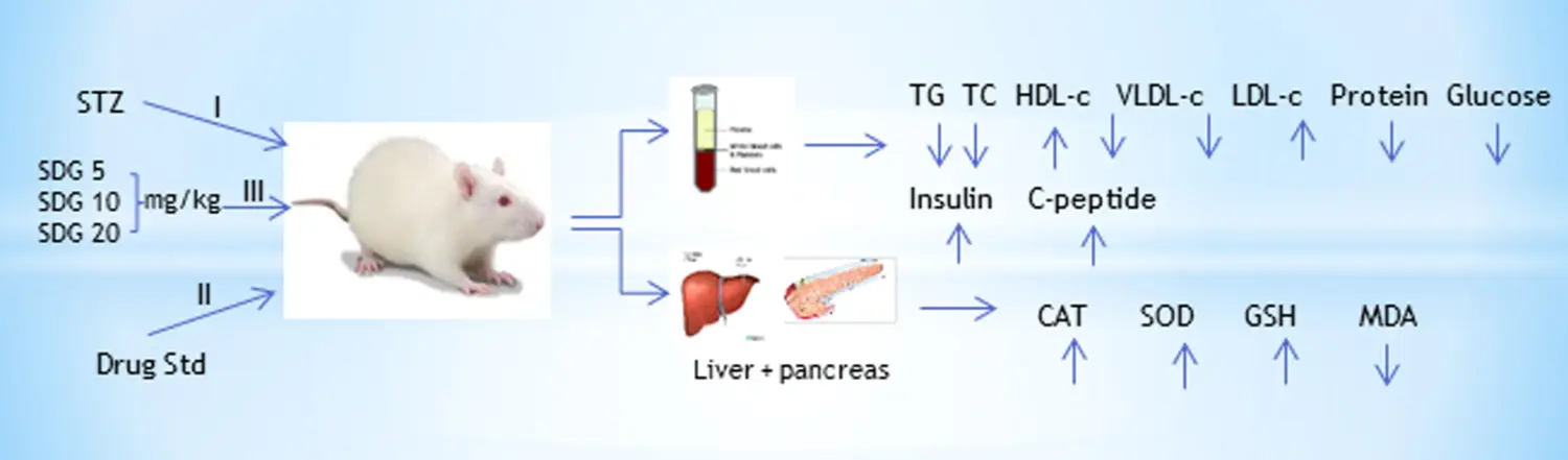 Secoisolariciresinol Diglucoside and Diabetes