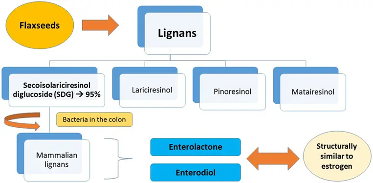 https://www.sciencedirect.com/science/article/pii/S0022316622065853