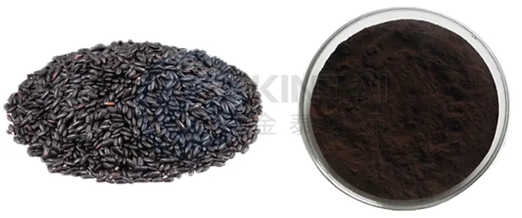 Black Rice Extract Powder Manufacturers and Suppliers