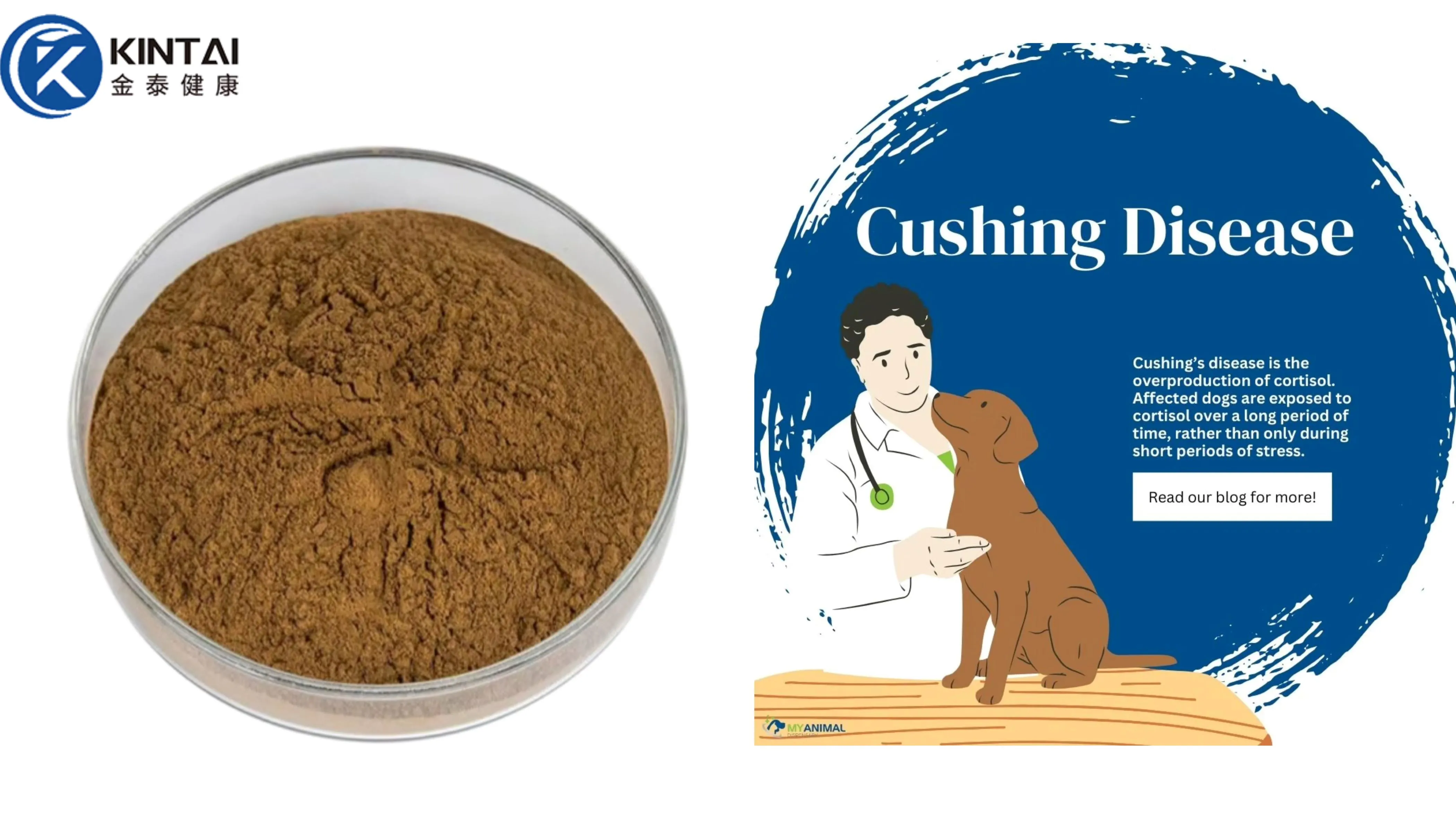 Flax lignans for dogs