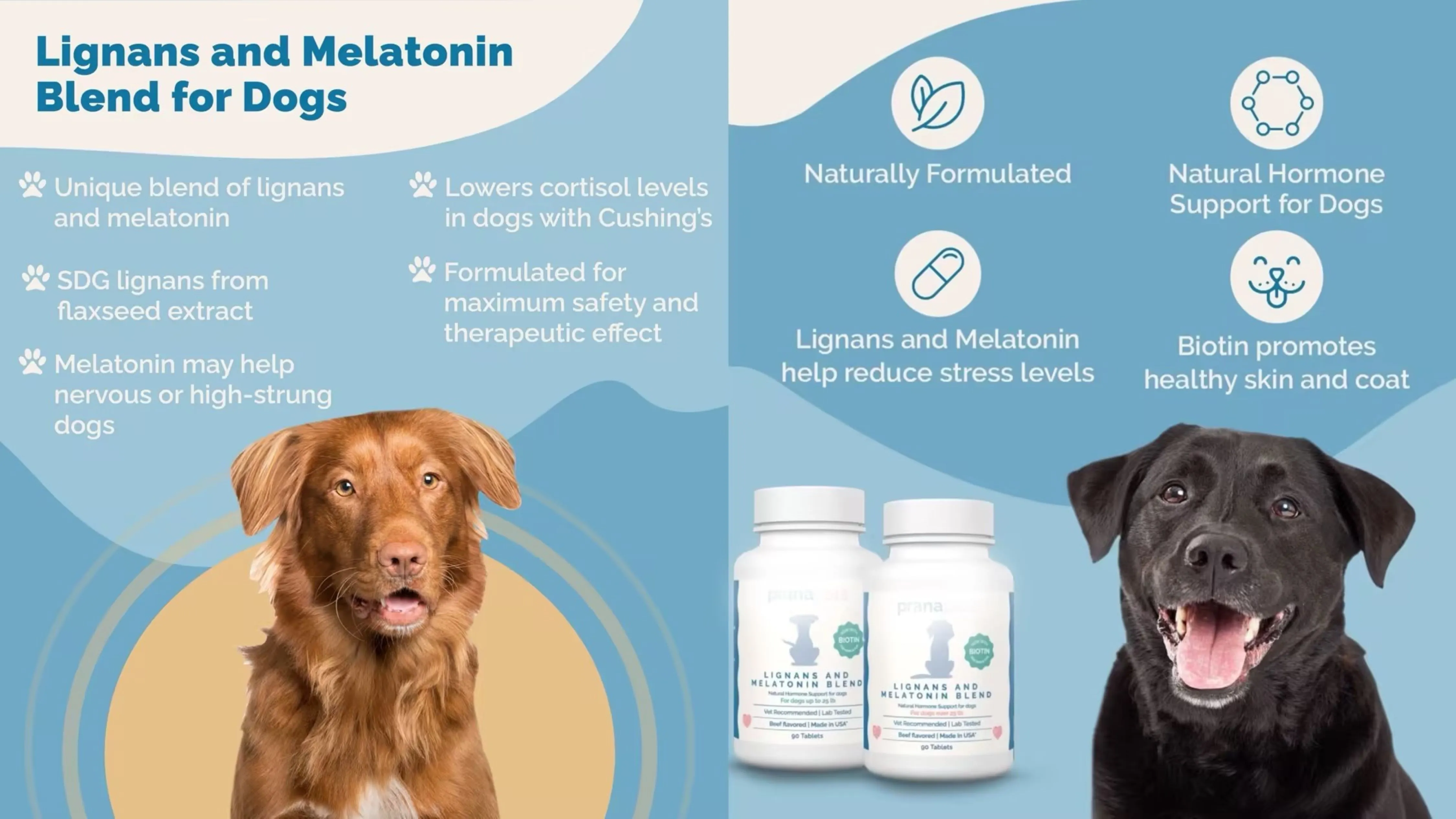The Combination of Melatonin and Lignans for Dogs