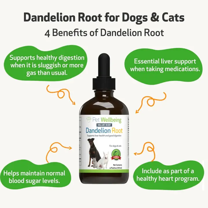 Dandelion Root Extract for Dog