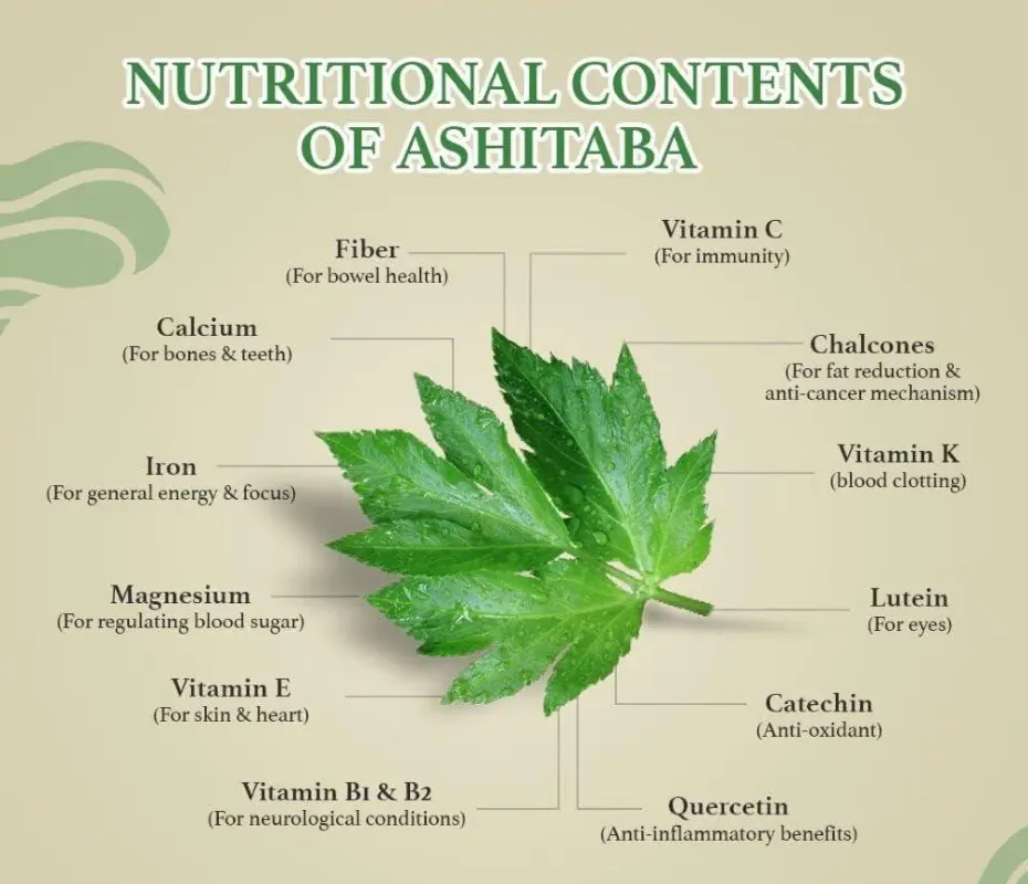 What are the benefits of Ashitaba tea with chalcones?