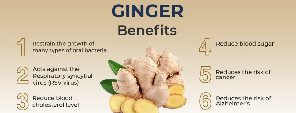 Ginger Extract for Men Ginger Extract for Men