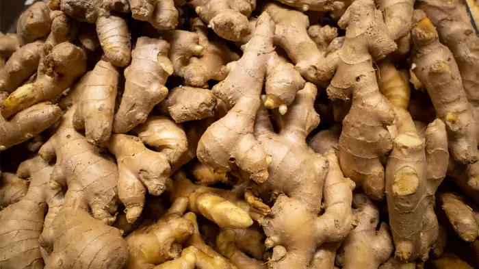 Ginger Extract Powder Ginger Extract Powder