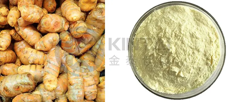 Ginger Extract Powder Ginger Extract Powder