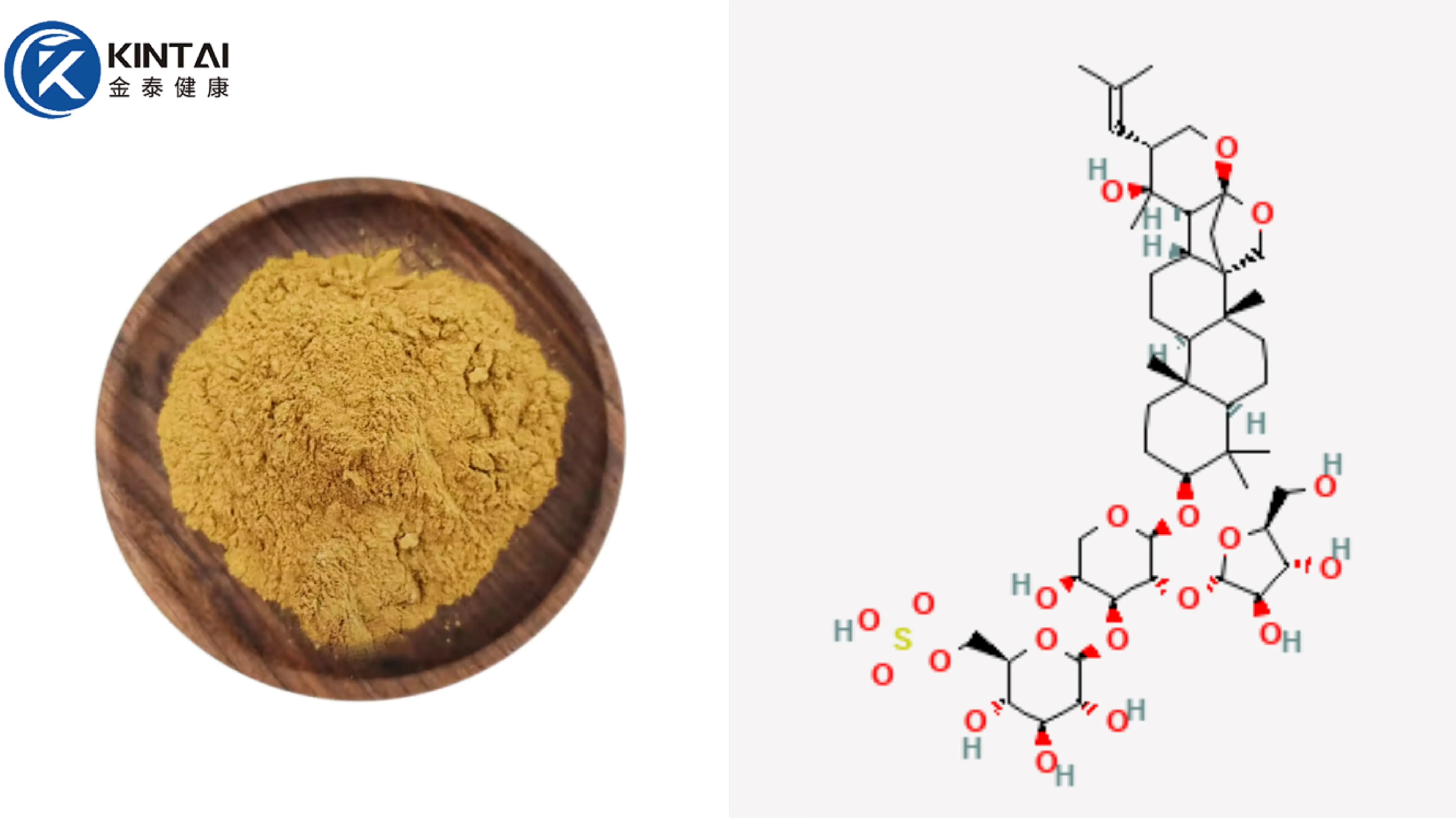 Bacopa Monnieri Extract Bacosides Powder Factory/Manufacturer Bacopa Monnieri Extract Bacosides Powder Factory/Manufacturer