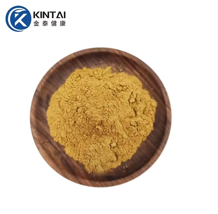 Bacopa monnieri extract bacosides powder Bacopa monnieri extract bacosides powder