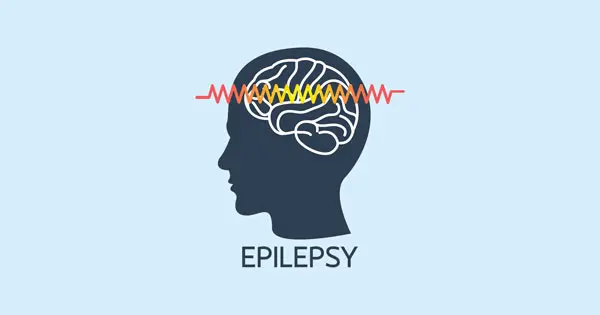 The Potential Benefits of Bacosides A and B for Kids with Epilepsy