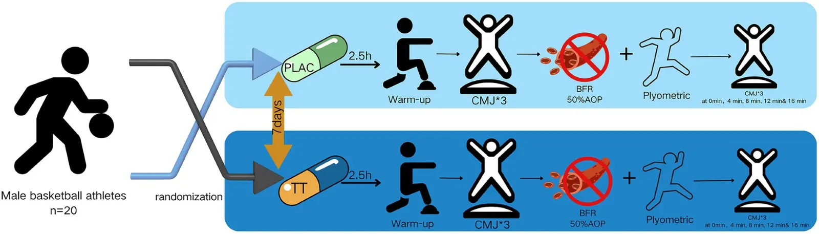 Tribulus Terrestris Saponins improving athletic performance