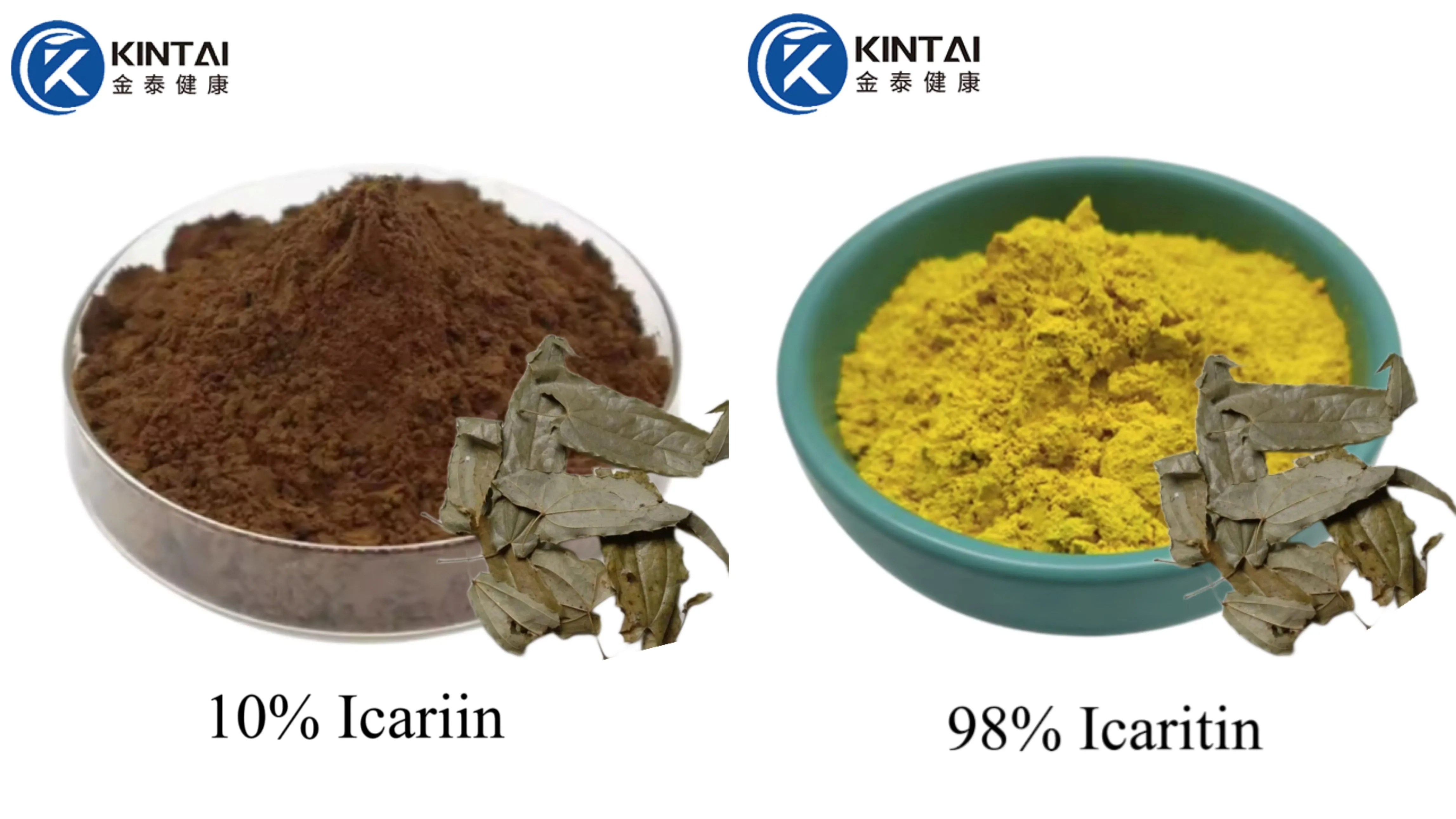 Epimedium extract powder