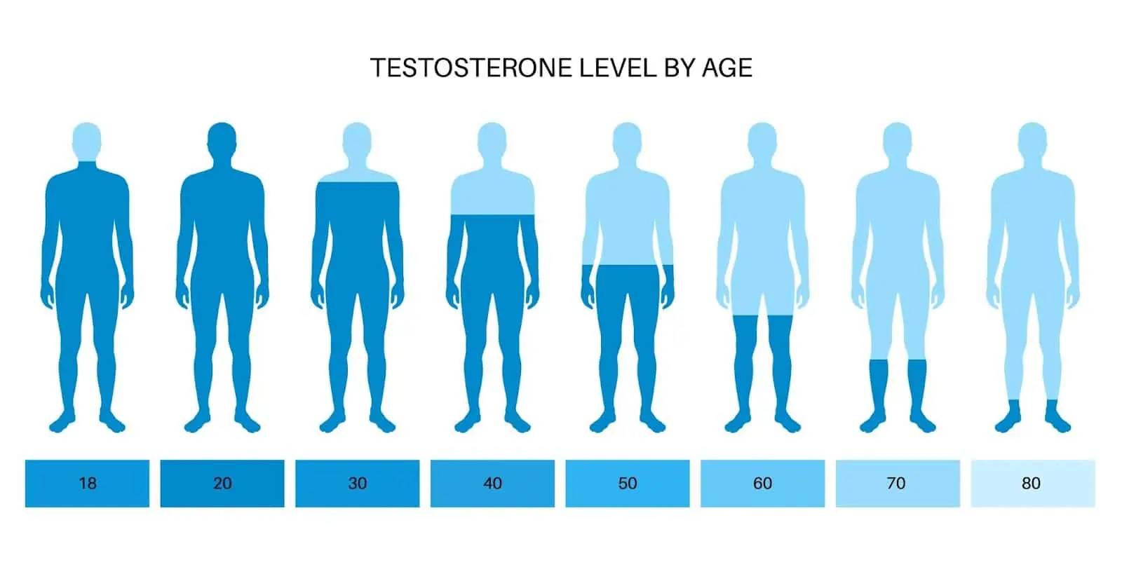 Why Should We Pay Attention to Increasing Testosterone? Why Should We Pay Attention to Increasing Testosterone?