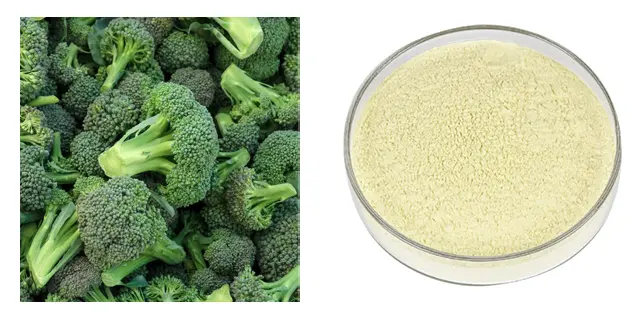 KINTAI Sulforaphane KINTAI Sulforaphane