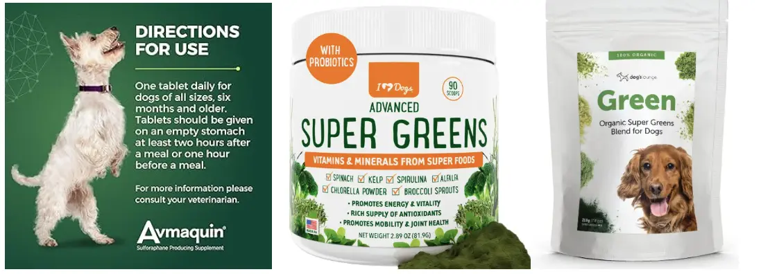 Sulforaphane for Dogs Sulforaphane for Dogs