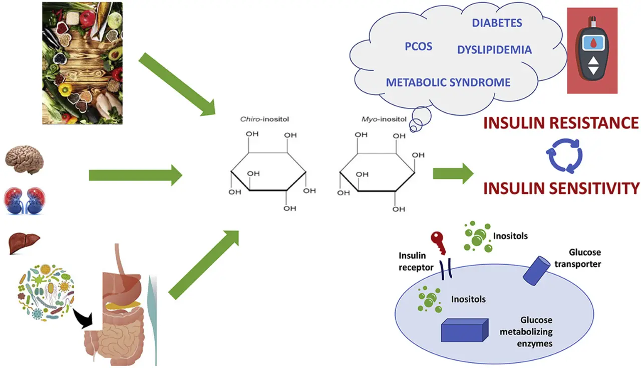 Core Efficacy of DCI: Regulating Insulin Sensitivity and Improving Metabolic Disorders Core Efficacy of DCI: Regulating Insulin Sensitivity and Improving Metabolic Disorders