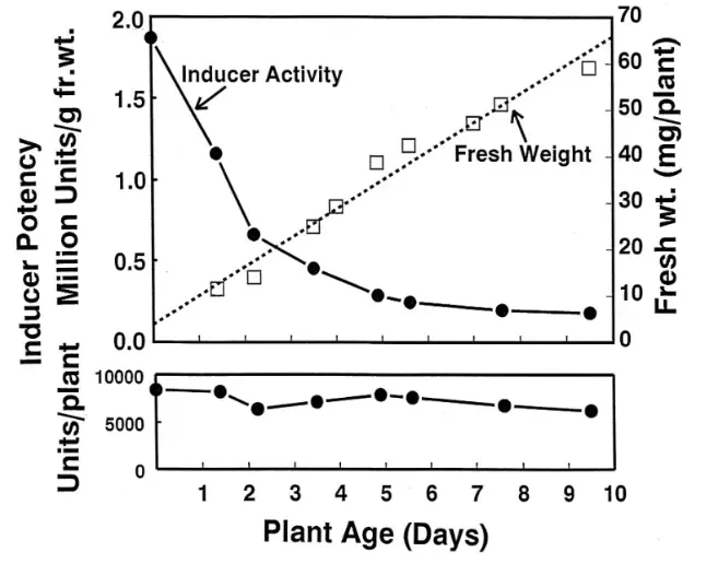 KINTAI Glucoraphanin Powder Plant Source KINTAI Glucoraphanin Powder Plant Source