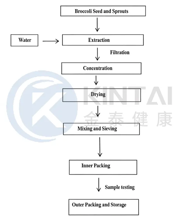 Process Flowchart Process Flowchart