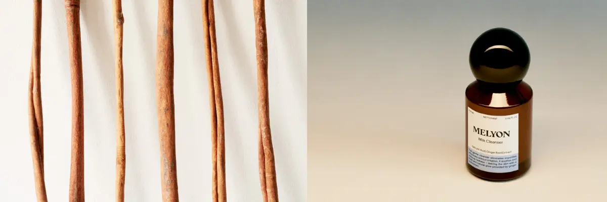 cinnamon extract Skincare Products cinnamon extract Skincare Products