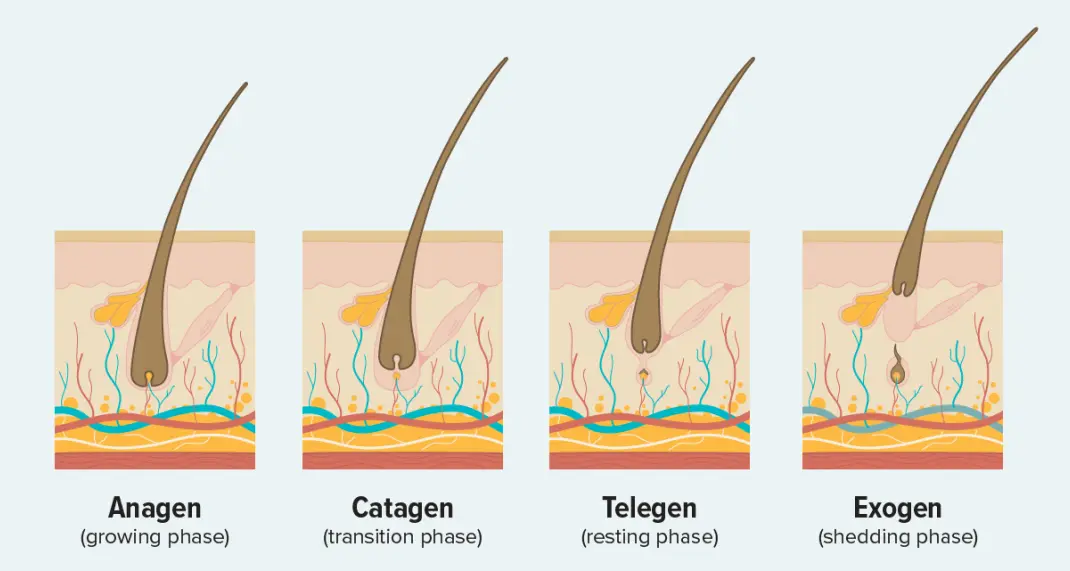 Copper Peptide for Hair Copper Peptide for Hair