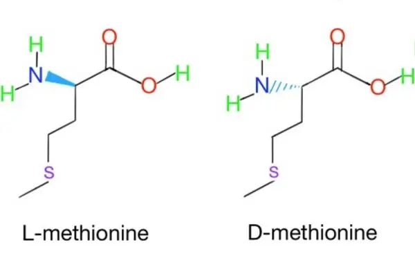 DL-Methionine and L-Methionine DL-Methionine and L-Methionine