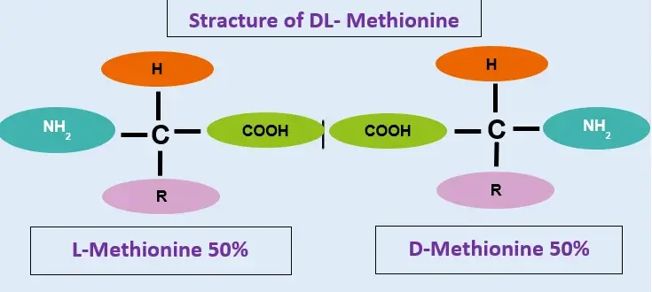 DL-methionine