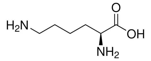 L-lysine L-lysine