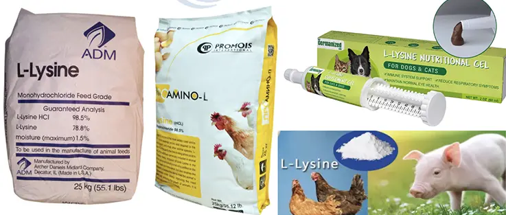L-lysine in animal feed