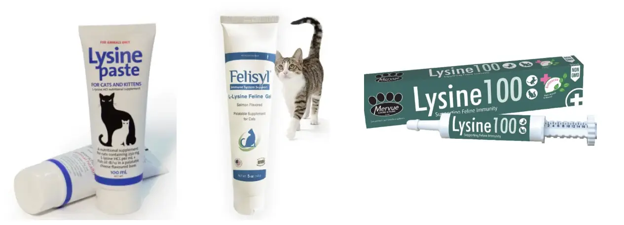 Cat L-lysine Nutritional Pastes Cat L-lysine Nutritional Pastes