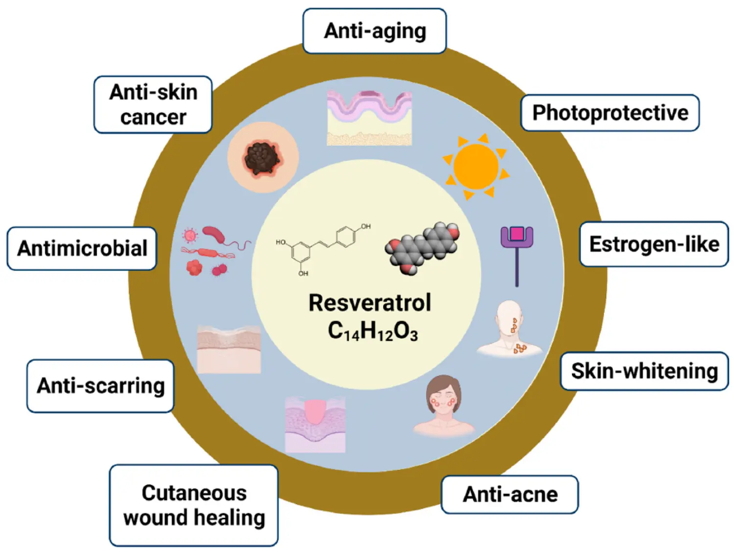 Resveratrol for Skin