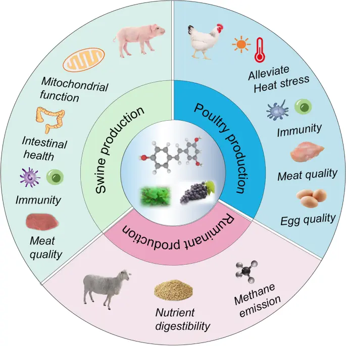 Animal Nutrition and Farming