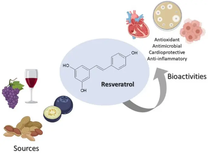 Antioxidant Effect of resveratrol