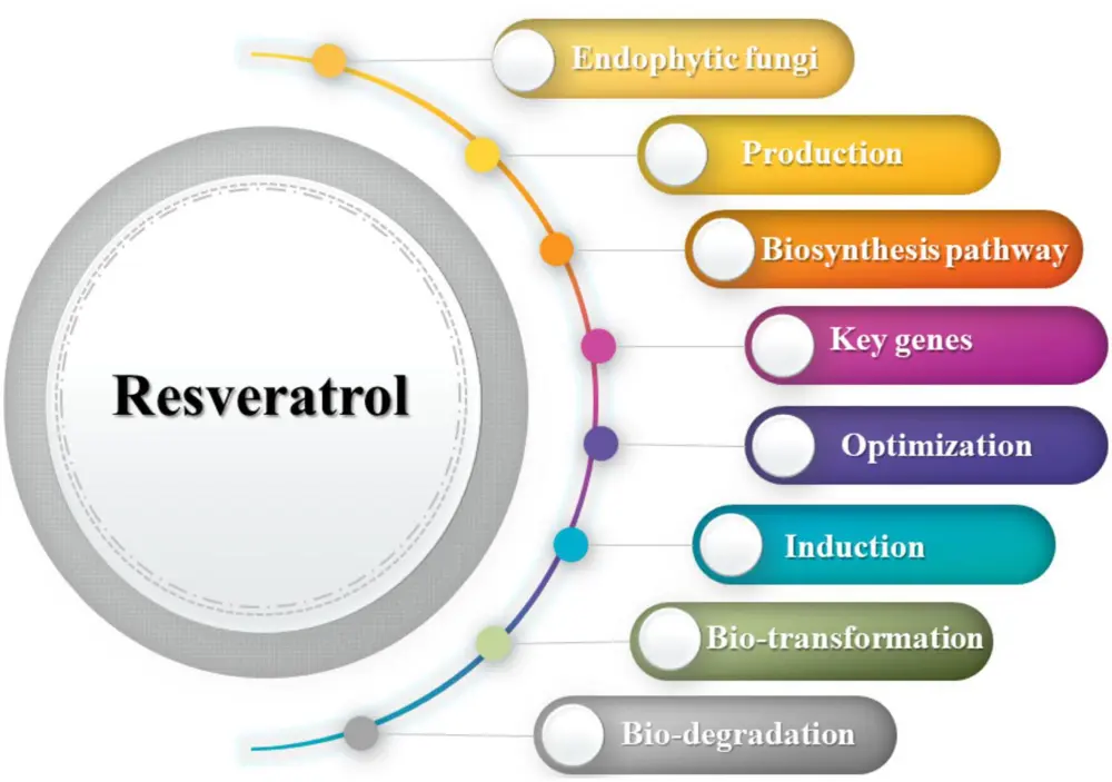 Which form of resveratrol is best?