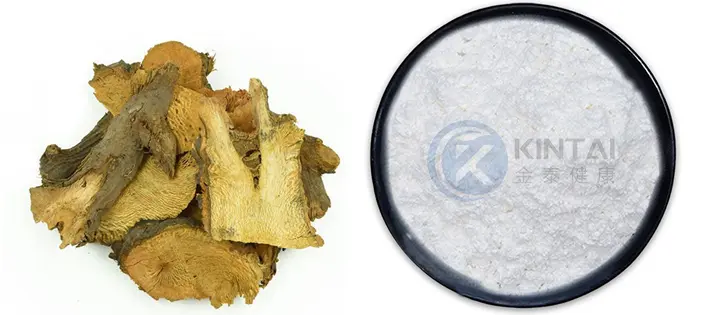 KINTAI Best Resveratrol Powder