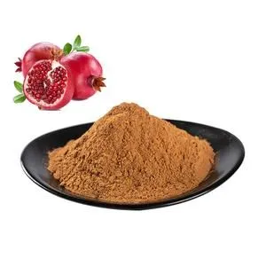 Pomegranate Extract Powder Pomegranate Extract Powder