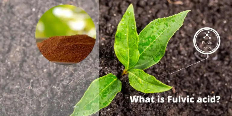 Fulvic Acid Powder Fulvic Acid Powder