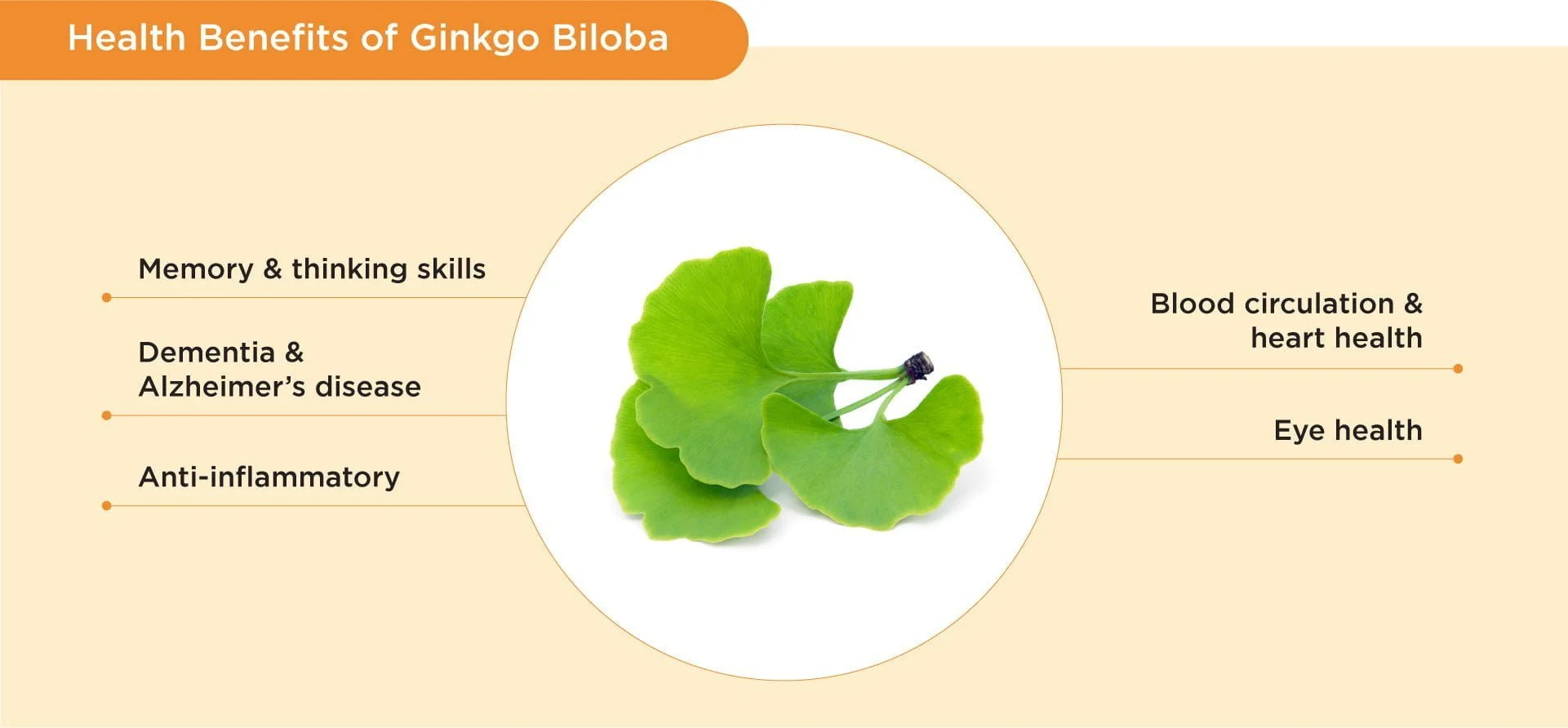 Benefits of Ginkgo Biloba Extract Powder