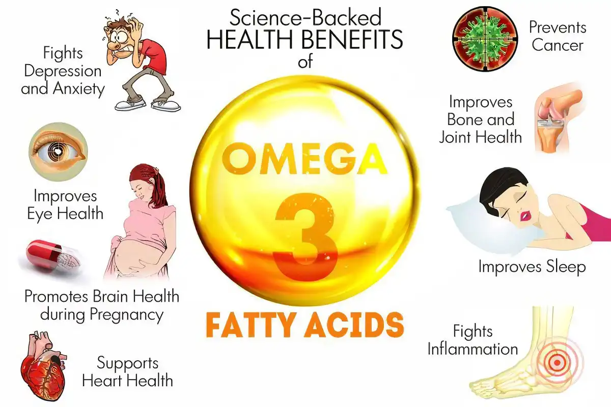 Benefits of Omega 3 Fatty Acid Powder Benefits of Omega 3 Fatty Acid Powder