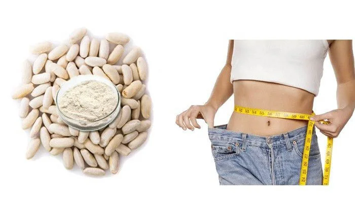 White Kidney Bean Extract Powder Impact on Overall Metabolic Health