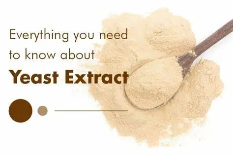 Benefits of Yeast Extract Powder Benefits of Yeast Extract Powder