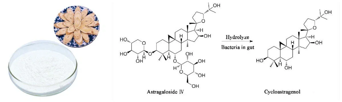 Cycloastragenol Powder Cycloastragenol Powder