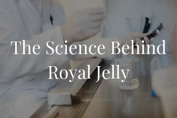 The Science Behind Royal Jelly's Nutritional Power