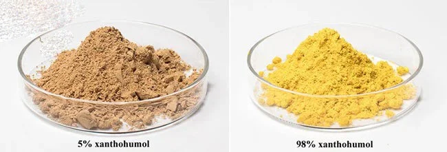 Xanthohumol Powder Xanthohumol Powder