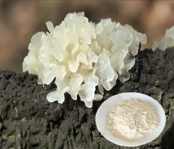 Tremella Mushroom Extract Powder Tremella Mushroom Extract Powder