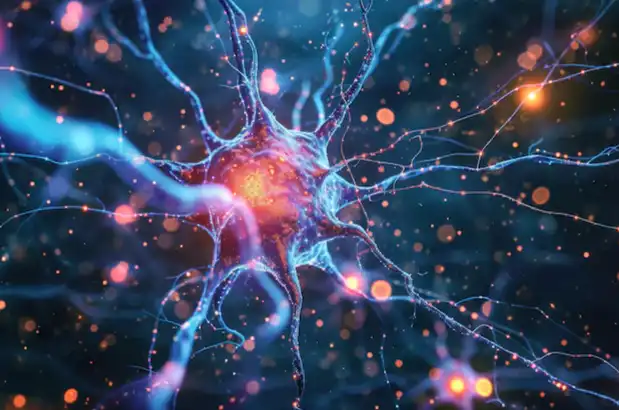 Neurological and Cognitive Health Implications