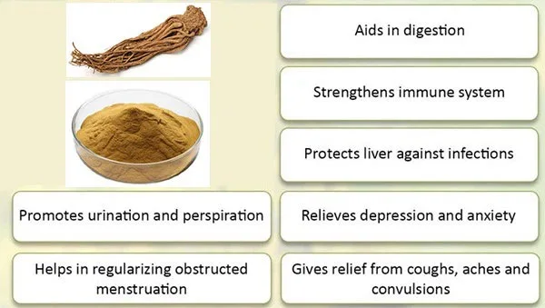 Clinical Applications and Benefits
