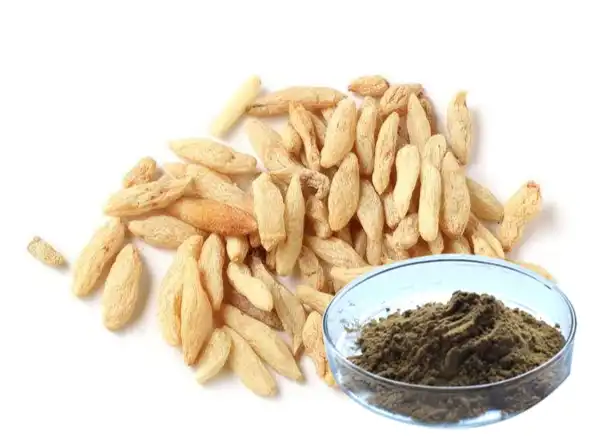 Ophiopogon Japonicus Root Extract