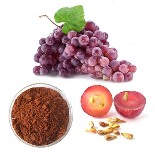 Grape Seed Extract Powder Grape Seed Extract Powder