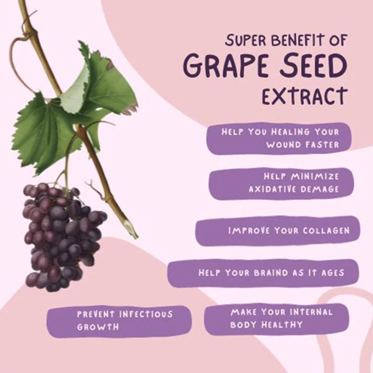 Benefits of Grape Seed Extract Powder Benefits of Grape Seed Extract Powder